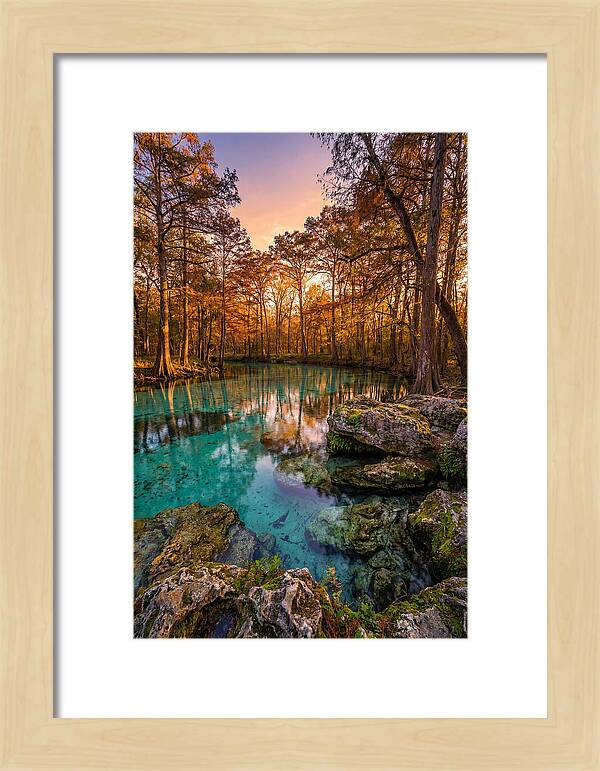 Radium Springs Serenity