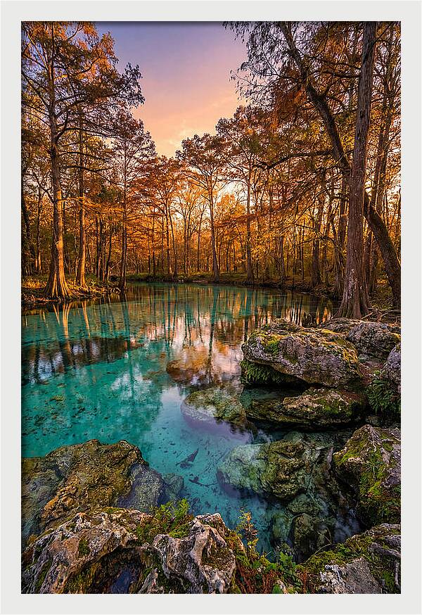 Radium Springs Serenity