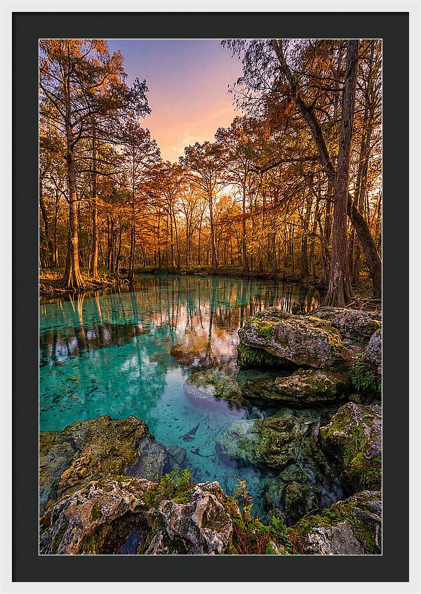 Radium Springs Serenity