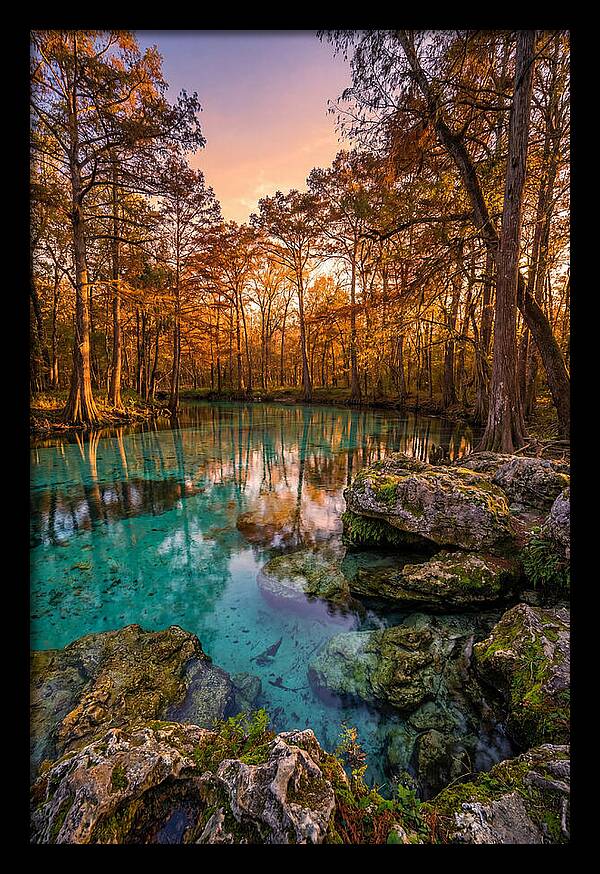 Radium Springs Serenity