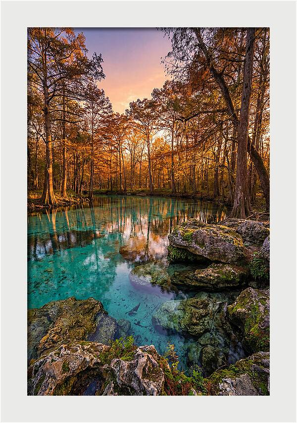 Radium Springs Serenity