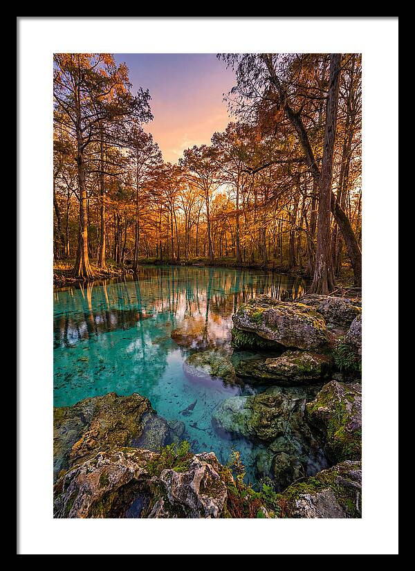 Radium Springs Serenity