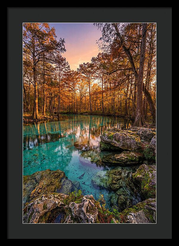 Radium Springs Serenity