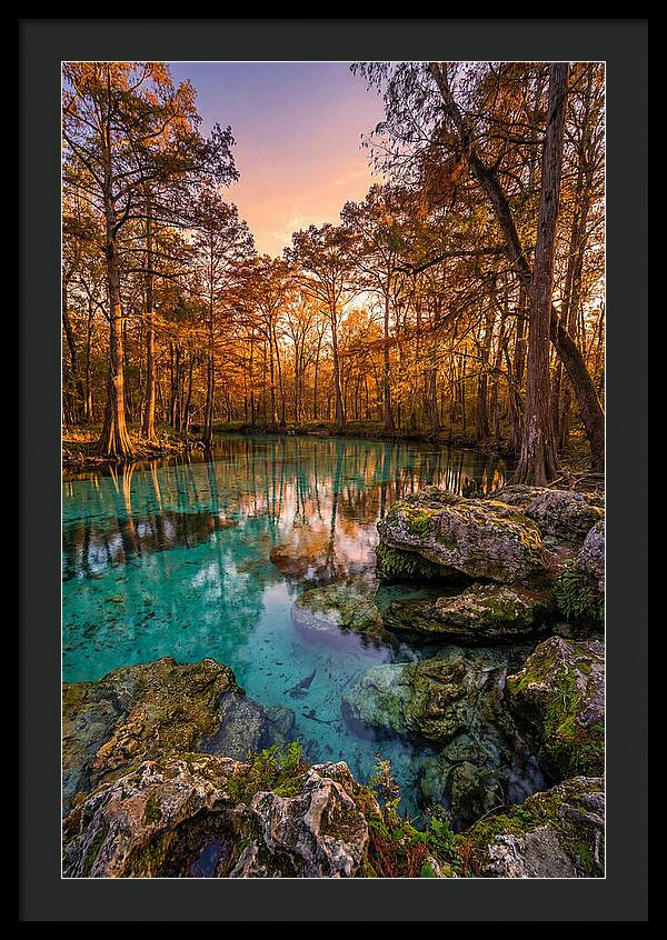 Radium Springs Serenity