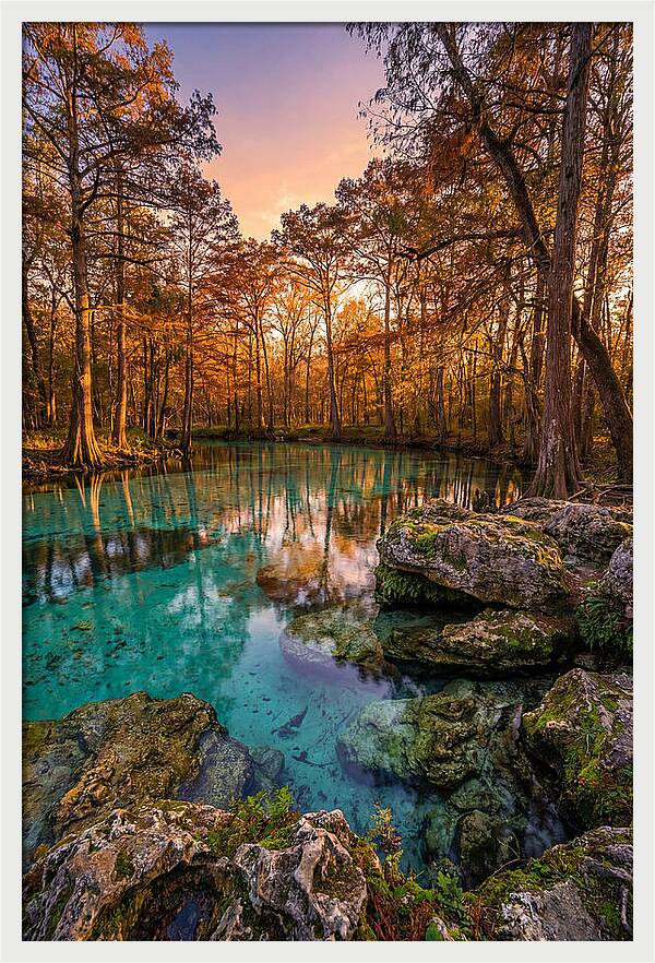 Radium Springs Serenity
