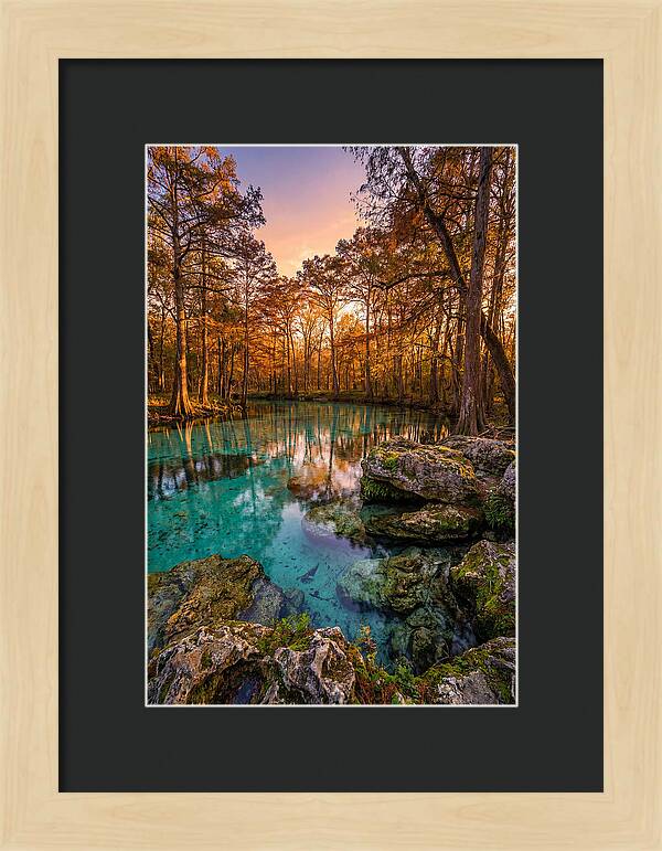 Radium Springs Serenity