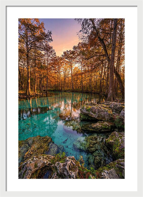 Radium Springs Serenity