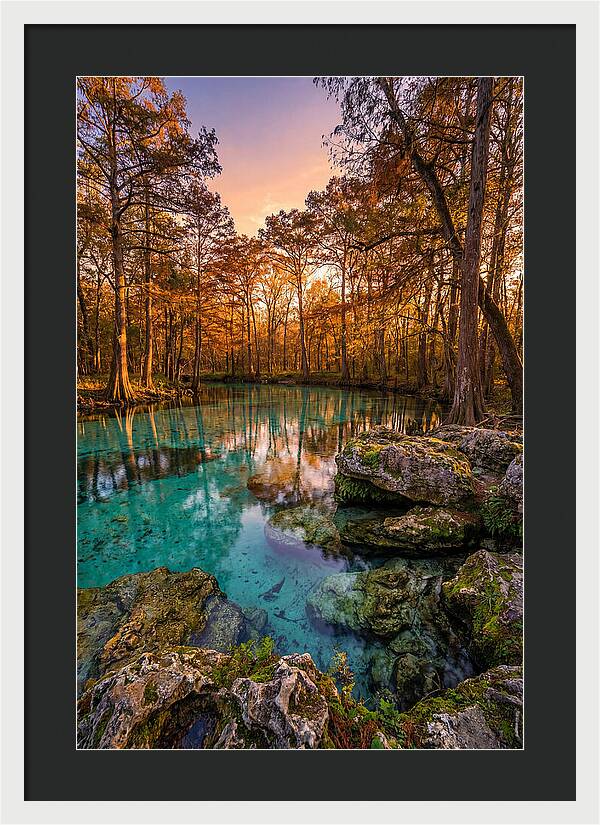 Radium Springs Serenity
