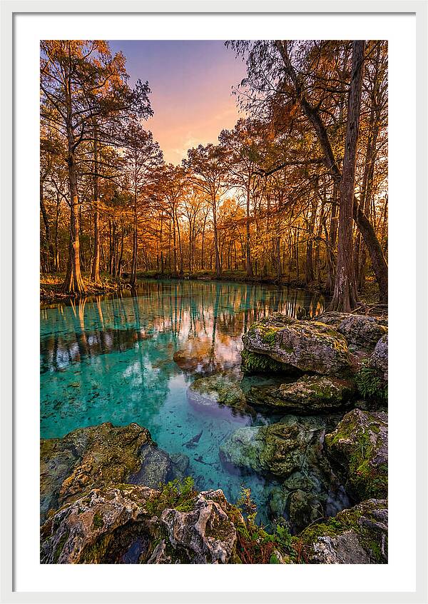 Radium Springs Serenity