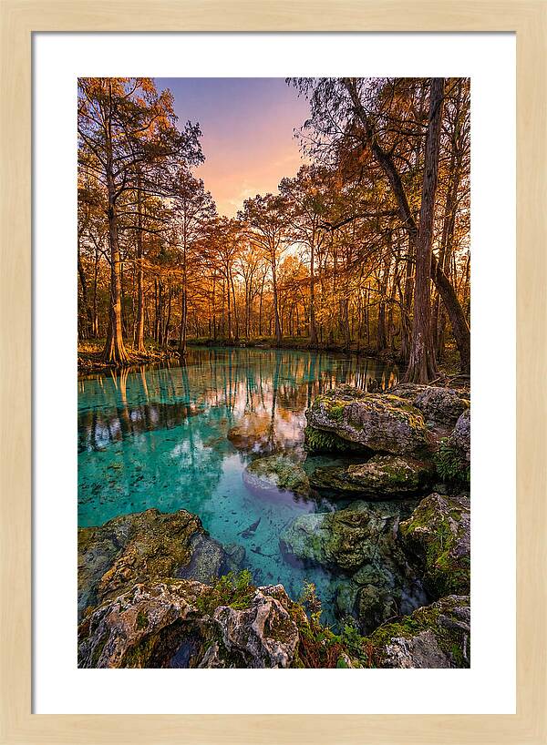 Radium Springs Serenity