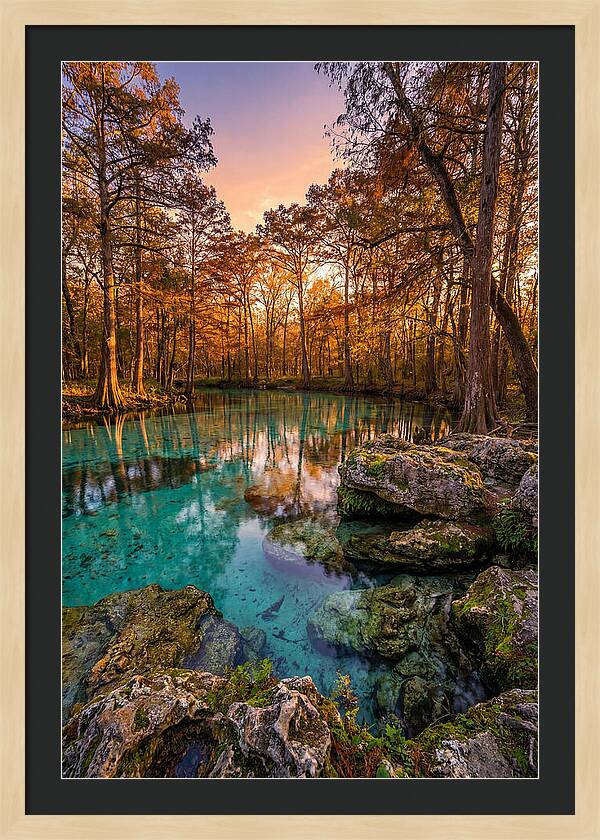 Radium Springs Serenity