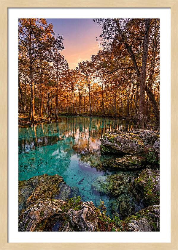 Radium Springs Serenity