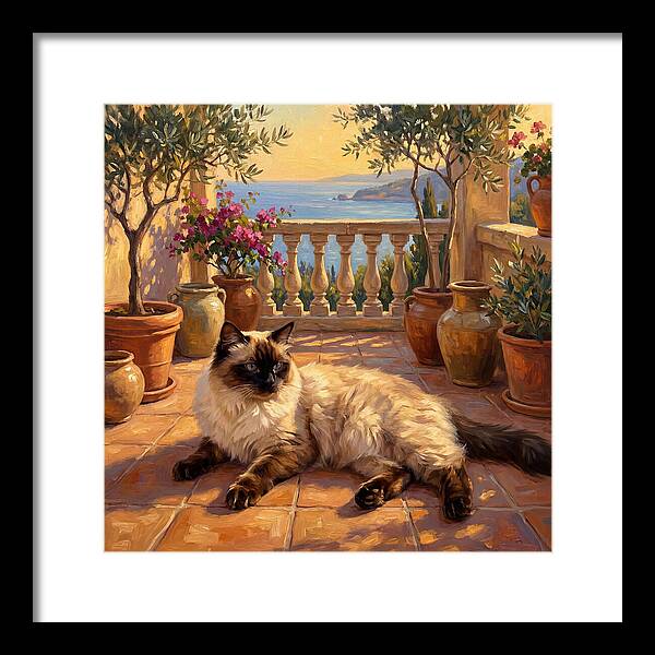 Ragdoll Cat In Mediterranean Paradise