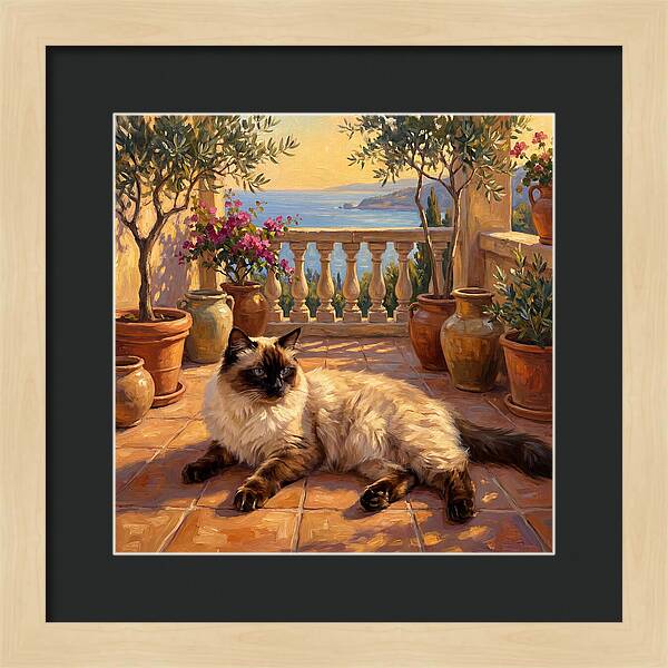 Ragdoll Cat In Mediterranean Paradise