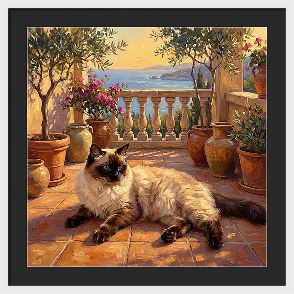 Ragdoll Cat In Mediterranean Paradise