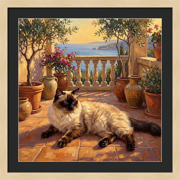 Ragdoll Cat In Mediterranean Paradise