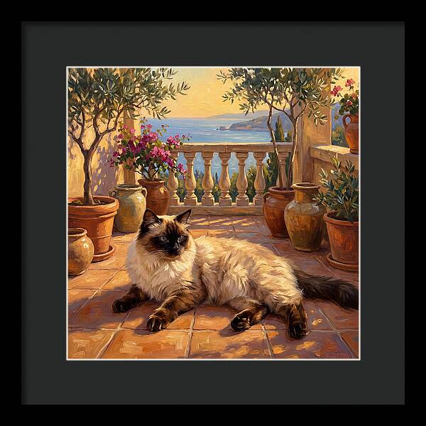 Ragdoll Cat In Mediterranean Paradise