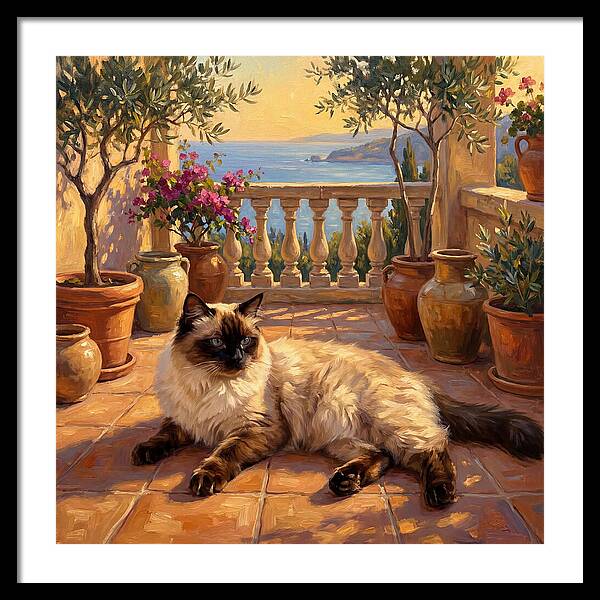 Ragdoll Cat In Mediterranean Paradise