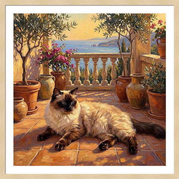 Ragdoll Cat In Mediterranean Paradise