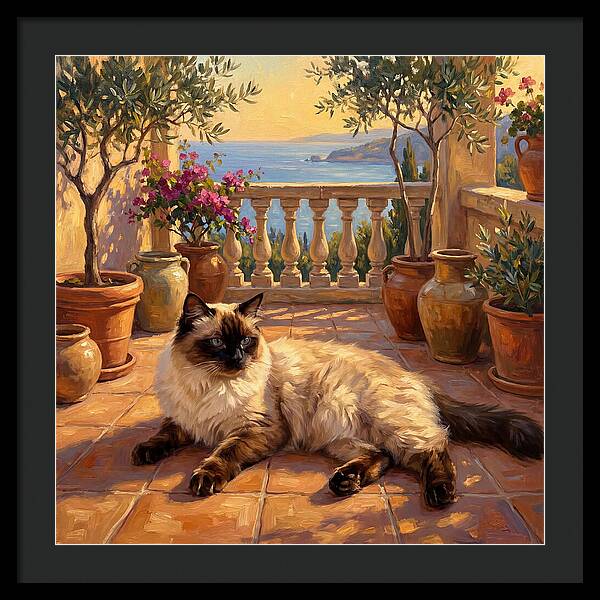 Ragdoll Cat In Mediterranean Paradise