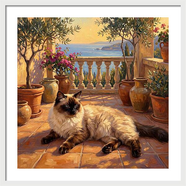 Ragdoll Cat In Mediterranean Paradise