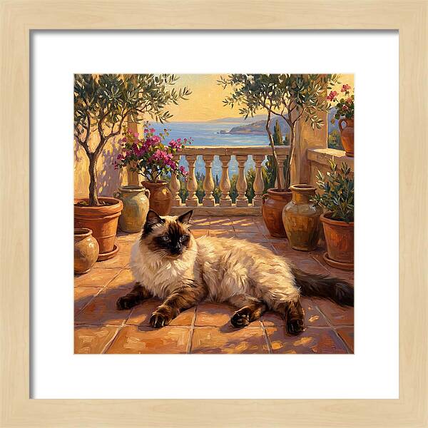 Ragdoll Cat In Mediterranean Paradise