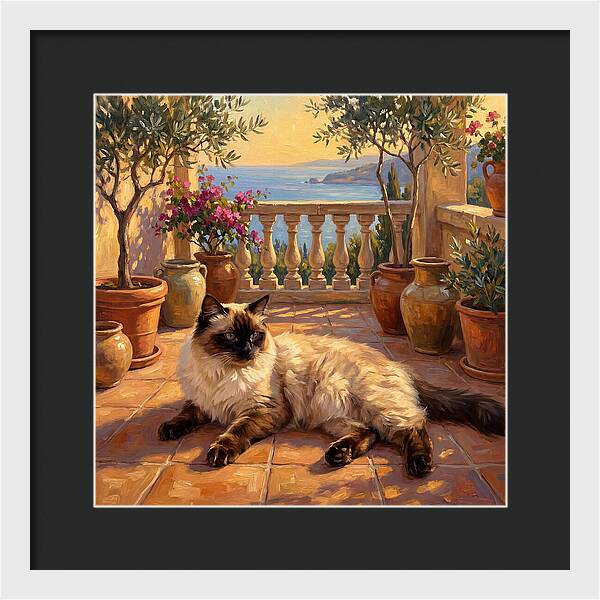 Ragdoll Cat In Mediterranean Paradise