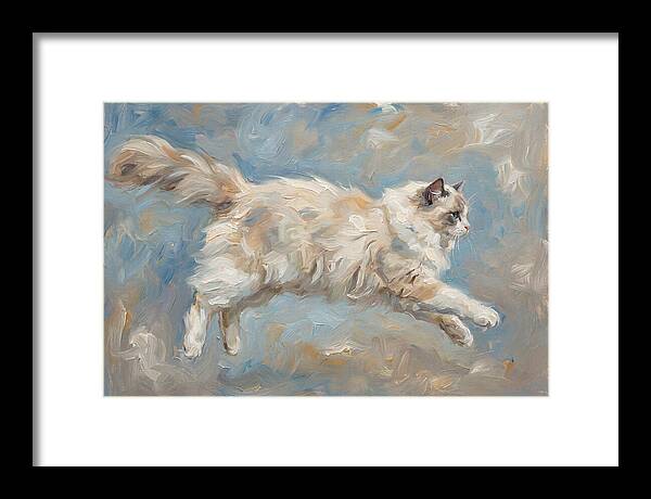 Ragdoll Cat In Motion