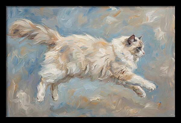 Ragdoll Cat In Motion