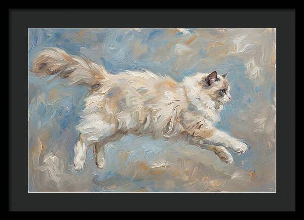 Ragdoll Cat In Motion