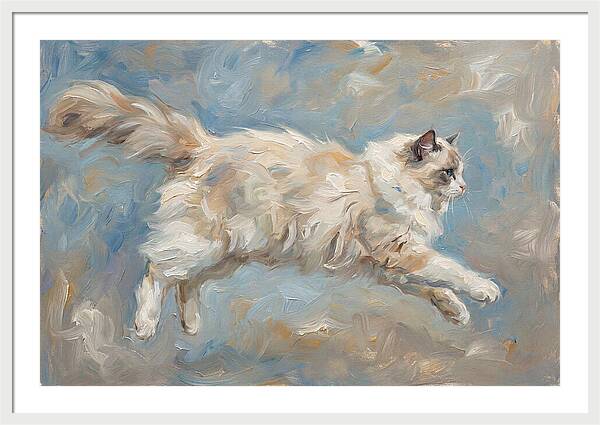 Ragdoll Cat In Motion