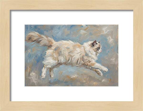 Ragdoll Cat In Motion