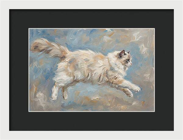 Ragdoll Cat In Motion