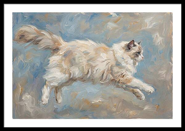 Ragdoll Cat In Motion