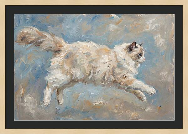 Ragdoll Cat In Motion