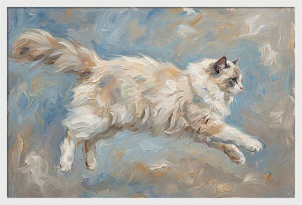Ragdoll Cat In Motion