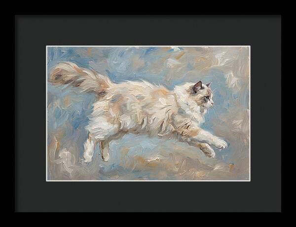 Ragdoll Cat In Motion