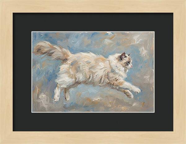 Ragdoll Cat In Motion
