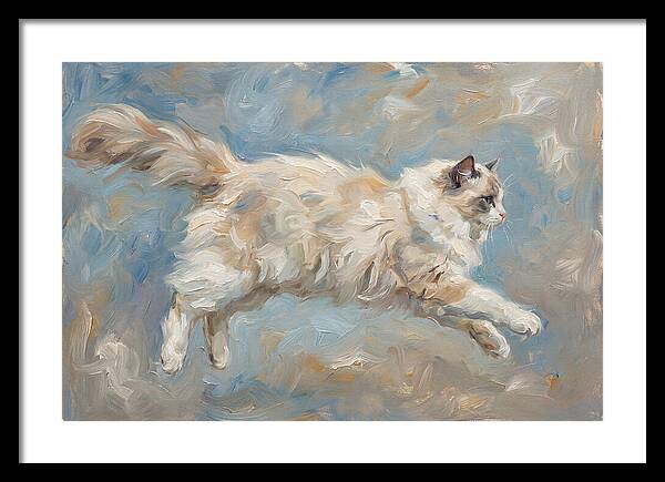 Ragdoll Cat In Motion