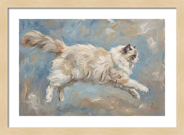 Ragdoll Cat In Motion