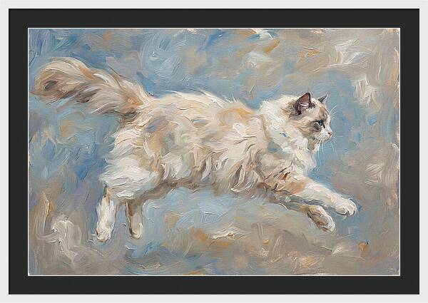 Ragdoll Cat In Motion