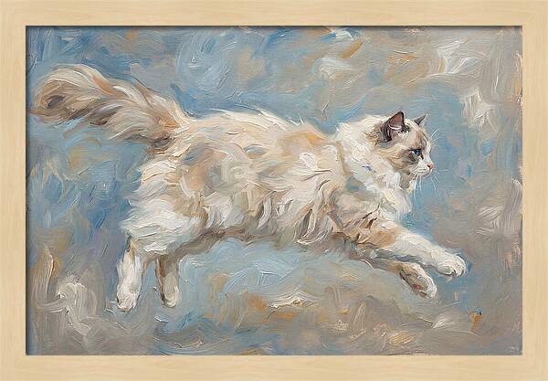 Ragdoll Cat In Motion