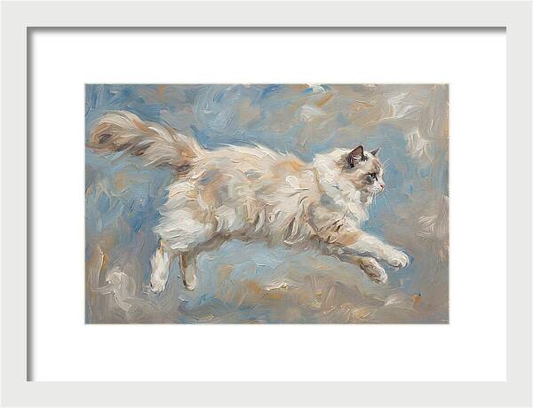 Ragdoll Cat In Motion