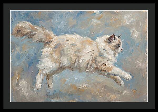 Ragdoll Cat In Motion