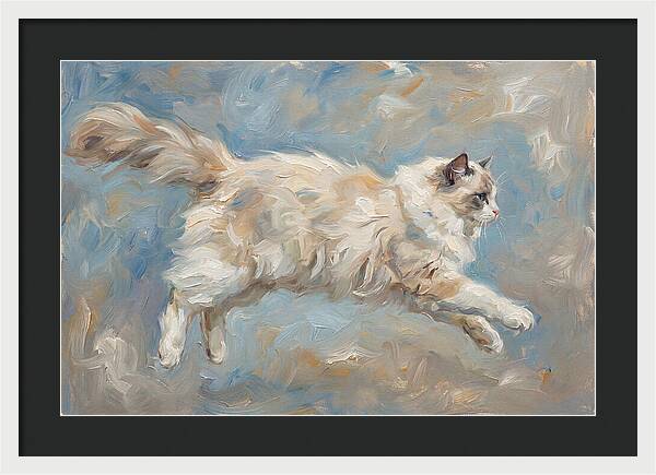 Ragdoll Cat In Motion