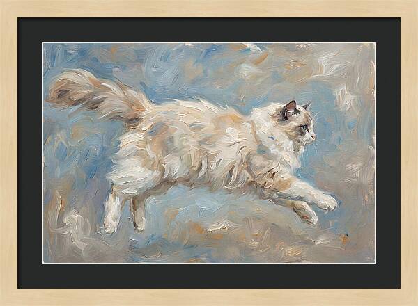 Ragdoll Cat In Motion