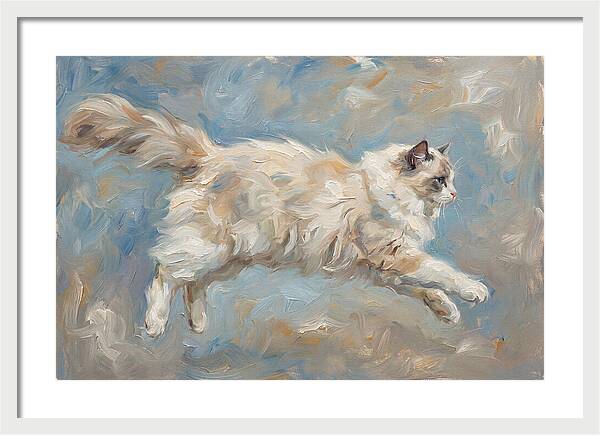 Ragdoll Cat In Motion