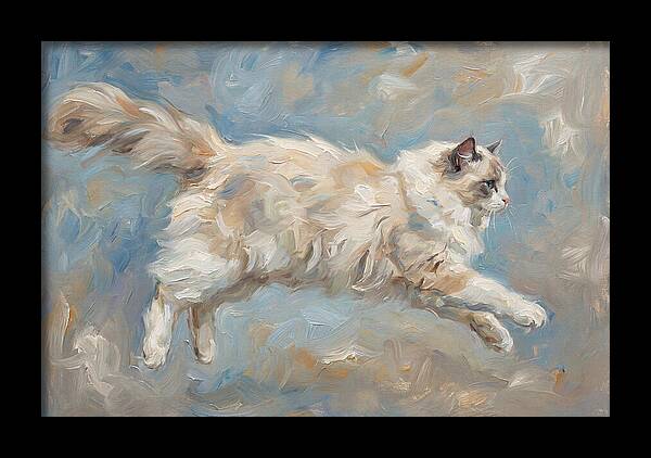 Ragdoll Cat In Motion