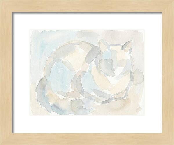 Ragdoll Cat In Soft Hues
