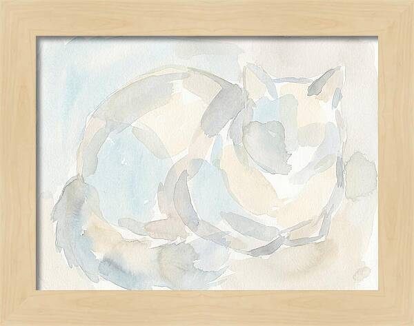 Ragdoll Cat In Soft Hues